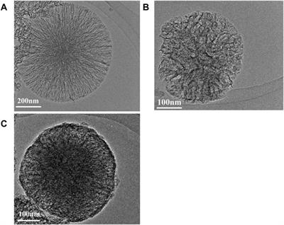 Synergistic remineralization of enamel white spot lesions using mesoporous bioactive glasses loaded with amorphous calcium phosphate